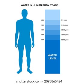 244 Metabolism h2o Images, Stock Photos & Vectors | Shutterstock