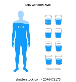 Water body balance poster. Daily intake of water for adult person. Good metabolism, healthy nutrition and self care lifestyle. Infographic with fluid balance. Male silhouette flat vector illustration.