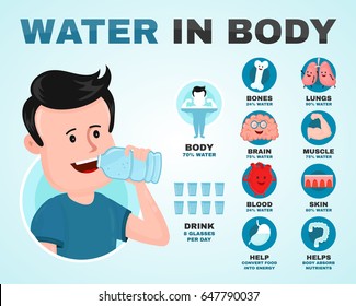 Water Body Infographic Young Man Drink Stock Vector (Royalty Free ...