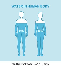 Water body level concept poster. Good metabolism, healthy nutrition and fluid balance in adult female and male silhouette vector illustration