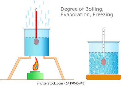 Water boiling, freezing, melting degrees. Liquids degrees. Thermometer, test cups, temperature gauge and cooker. Physics, chemistry examples.  Study, home work. 2d drawing, vector illustration