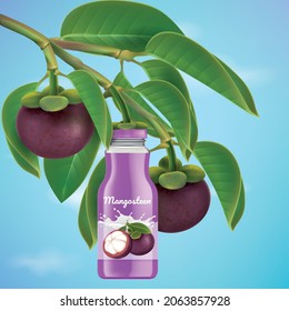 Water bottle from mangosteen.Branches and leaves of mangosteen.illustration vector