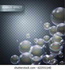 Water bubbles isolated on a transparent checkered background. Vector realistic effect template. Iridescent soap bubbles.