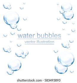 Water Bubbles Vector Background.