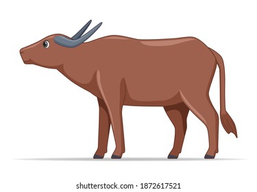 Water buffalo animal standing on a white background. Cartoon style vector illustration