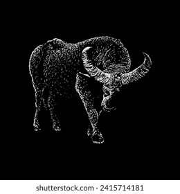water buffalo hand drawing vector isolated on black background.