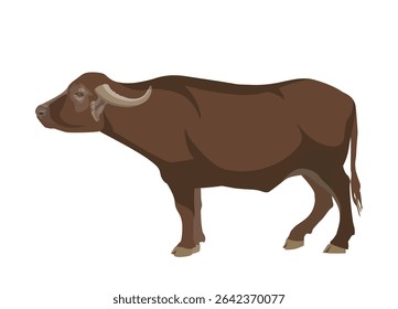 Ilustração do vetor plano do perfil lateral do búfalo de água isolada no fundo branco. Animal de estiragem utilizado na agricultura, ideal para temas rurais asiáticos.