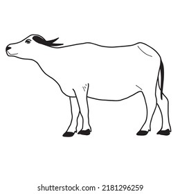 Water buffalo or Thai buffalo vector. Side view.  Vector illustration on the white

