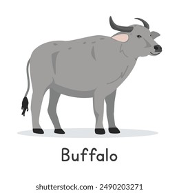 Water buffalo vector illustration. Cute buffalo cartoon clipart, animal in flat style. Farm animals concept, rural farming. Livestock animal buffalo vector design isolated on white background