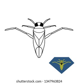 Water bug illustration. Backswimmer insect Notonecta glauca. Adjustable stroke outline width.