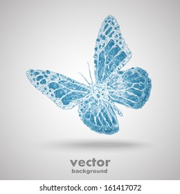 water butterfly isolated on white, vector background