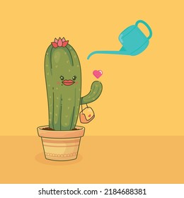 Water the cactus to grow in the room