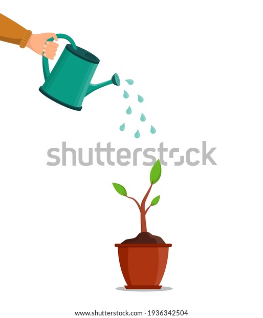 Water can in hand. Water for pour of tree and\
plant. Growth are seed in garden in spring. Pot with plant or\
flower. Hand holding can watering for grow of sprout. Flora, tool\
and sprinkle. Vector.
