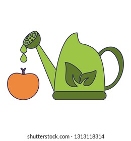 water can and orange fruit