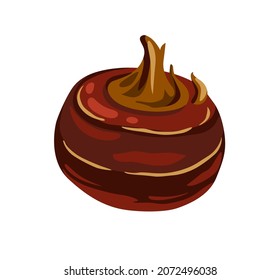 Water chestnut, singhara. Chinese snack, food, cooking ingredient. Healthy natural vegetarian food. Hand drawn flat vector illustration.