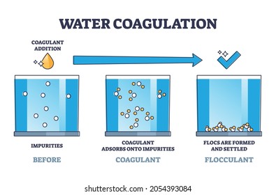 Water coagulation process explanation for treatment outline diagram. Labeled educational wastewater purification and disinfection steps vector illustration. Sewage coagulant and flocculant addition.