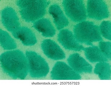 Water Color Background Design Vector Image Template