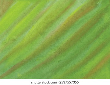 Water Color Background Design Vector Image Template