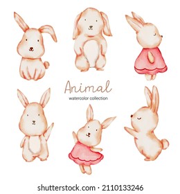 Water color cartoon animal set for stickers and emoji avatars of tropical and forest characters isolated on white background. Cute animals Rabbit character
