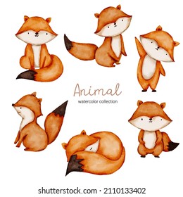 Water color cartoon animal set for stickers and emoji avatars of tropical and forest characters isolated on white background. Cute animals Fox character