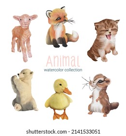 Water color cartoon animal set for stickers and emoji avatars of tropical and forest characters isolated on white background. Cute animals Bear, Duck, Squirrel, Sheep, Fox, Cat character