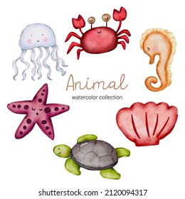 Water color cartoon aquatic set stickers and emoji avatars of ocean and sea characters isolated on white background. Cute aquatic Jellyfish, Crab, Seahorse, Squid, Starfish, Turtle, Shell character