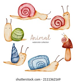 Water color cartoon mollusk set for stickers and emoji avatars of tropical and forest characters isolated on white background. Cute mollusk Snail character