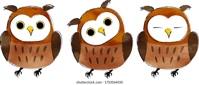 Water Color Hand Drawn brown owl