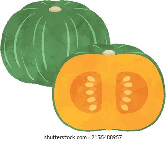 Water Color Kabocha Pumpkin Illustration