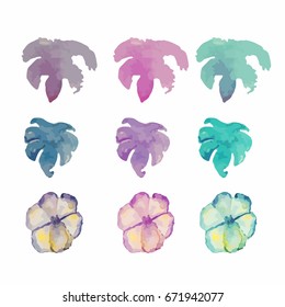 Water color nature collection
