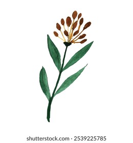 water color painting and hand drawn beauty flower