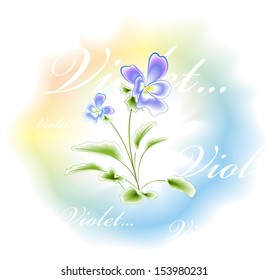Water color violets. Card.Vector. eps 10