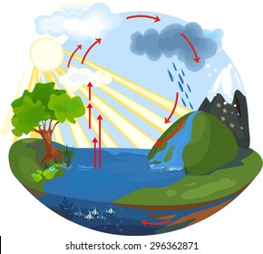 The water cycle