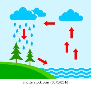 Water Cycle