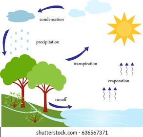 137,585 What is the water cycle Images, Stock Photos & Vectors ...