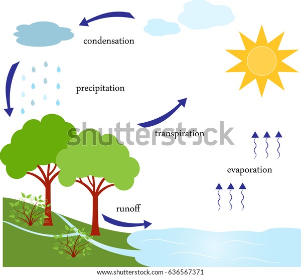 Water Cycle Stock Vector (Royalty Free) 636567371 | Shutterstock