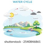 The water cycle describes how water circulates through evaporation, condensation, precipitation, and collection, sustaining life on Earth.