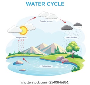 Der Wasserkreislauf beschreibt, wie Wasser durch Verdampfung, Kondensation, Niederschlag und Sammlung zirkuliert, um Leben auf der Erde zu erhalten.