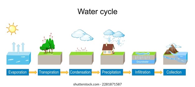 Water cycle. detailed explanation infographic. Vector diagram. Hydrologic landscape. Geography school scheme. Illustration for education use