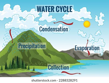 Water cycle diagram. Earth hydrologic process. Environmental circulation scheme with rain precipitation, cloud condensation, evaporation and runoff collection. Cycle water in nature environment