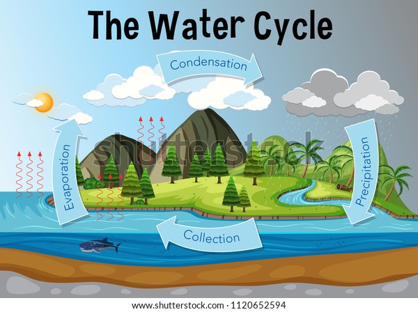 The water cycle diagram\
illustration
