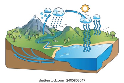 Water cycle diagram with precipitation and condensation outline concept. Educational scheme with nature process explanation and climate ecosystem vector illustration. Study hydro balance on earth.