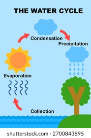 Processo de diagrama de ciclo de água no esquema Earth.climate com fases de precipitação, evaporação, condensação e coleta.Ecosystem concept.Infographic.Geography.Cartoon ilustração vetorial.