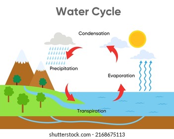 1,370 Bicycle Diagram Images, Stock Photos & Vectors 