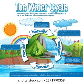 The water cycle diagram for science education illustration