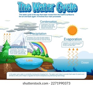 The water cycle diagram for science education illustration