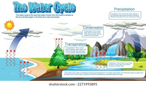 Diagrama del ciclo del agua para la ilustración de la educación científica