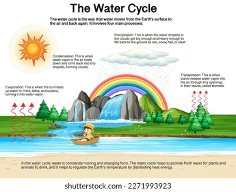 The water cycle diagram for science education illustration