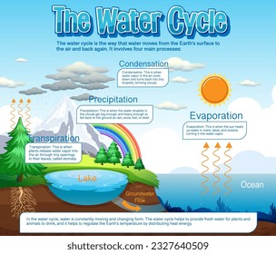 The water cycle diagram for science education illustration