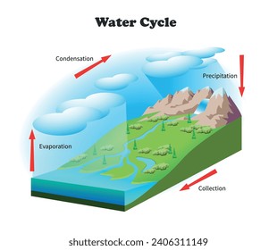 Wasserkreislaufplan. Science Education 3D-Illustration